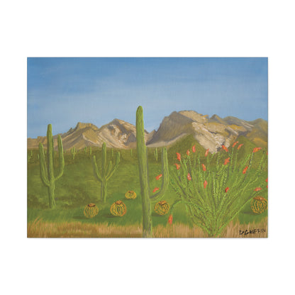 "View from Oro Valley" - Stretched Canvas Wall Decor