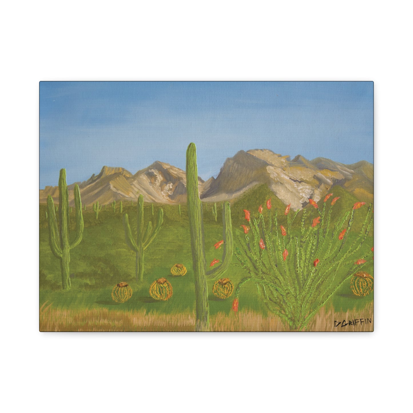 "View from Oro Valley" - Stretched Canvas Wall Decor