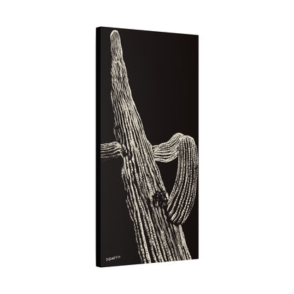 "Nocturnal Saguaro" - Stretched Canvas Wall Decor