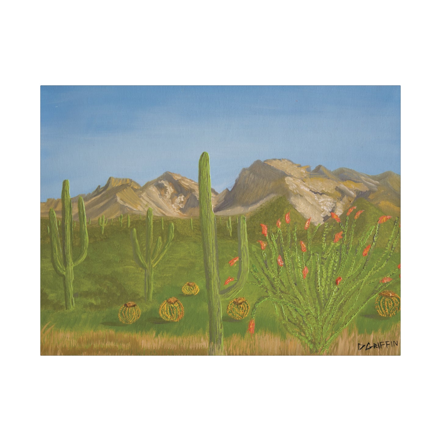"View from Oro Valley" - Stretched Canvas Wall Decor