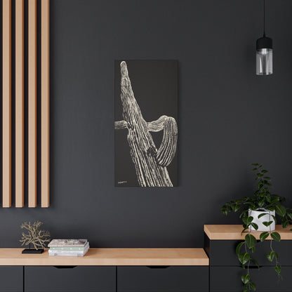 "Nocturnal Saguaro" - Stretched Canvas Wall Decor
