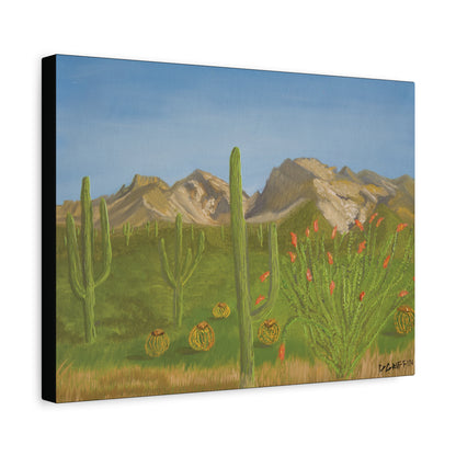 "View from Oro Valley" - Stretched Canvas Wall Decor