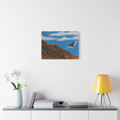 "Sonoran Scavenger" - Stretched Canvas Wall Decor
