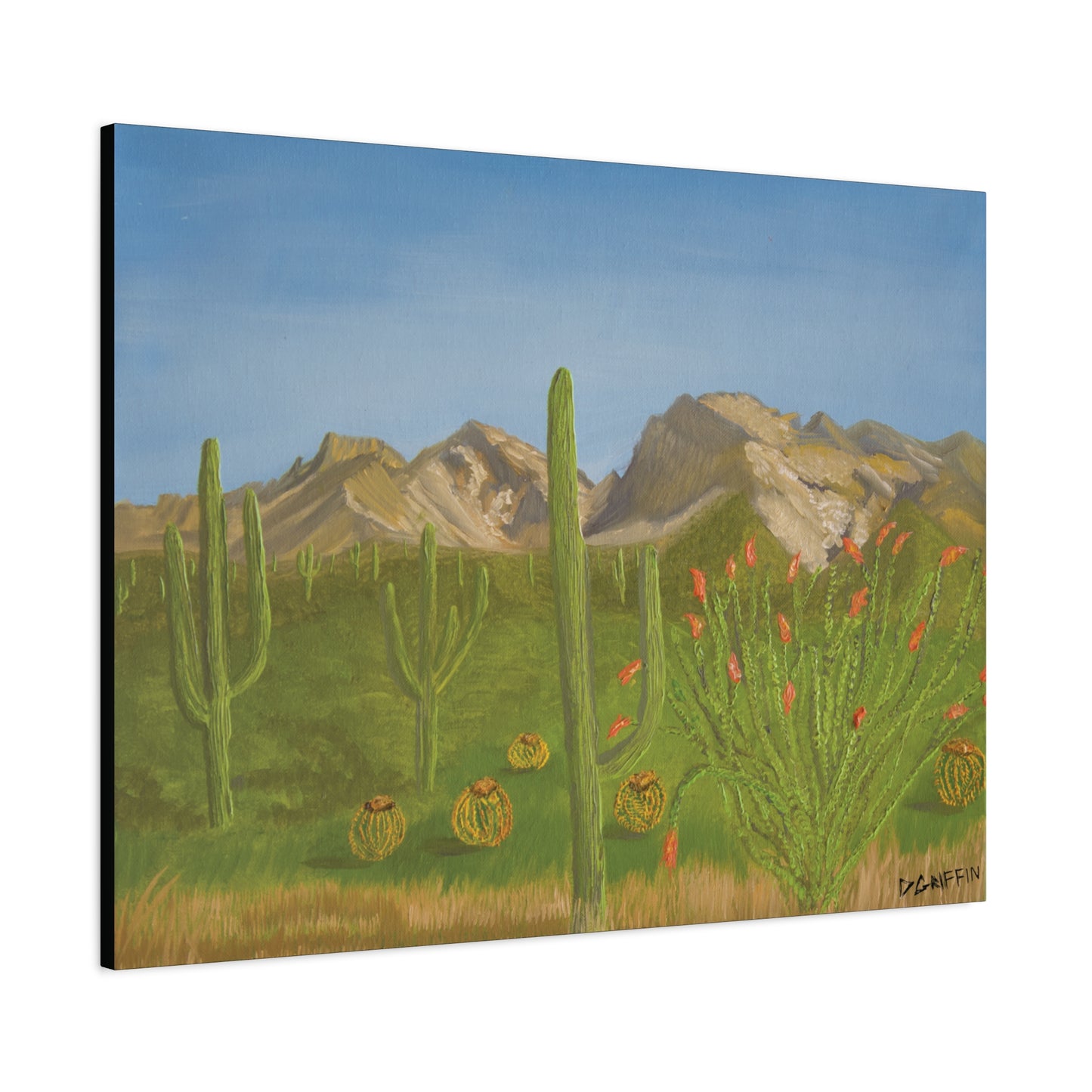 "View from Oro Valley" - Stretched Canvas Wall Decor