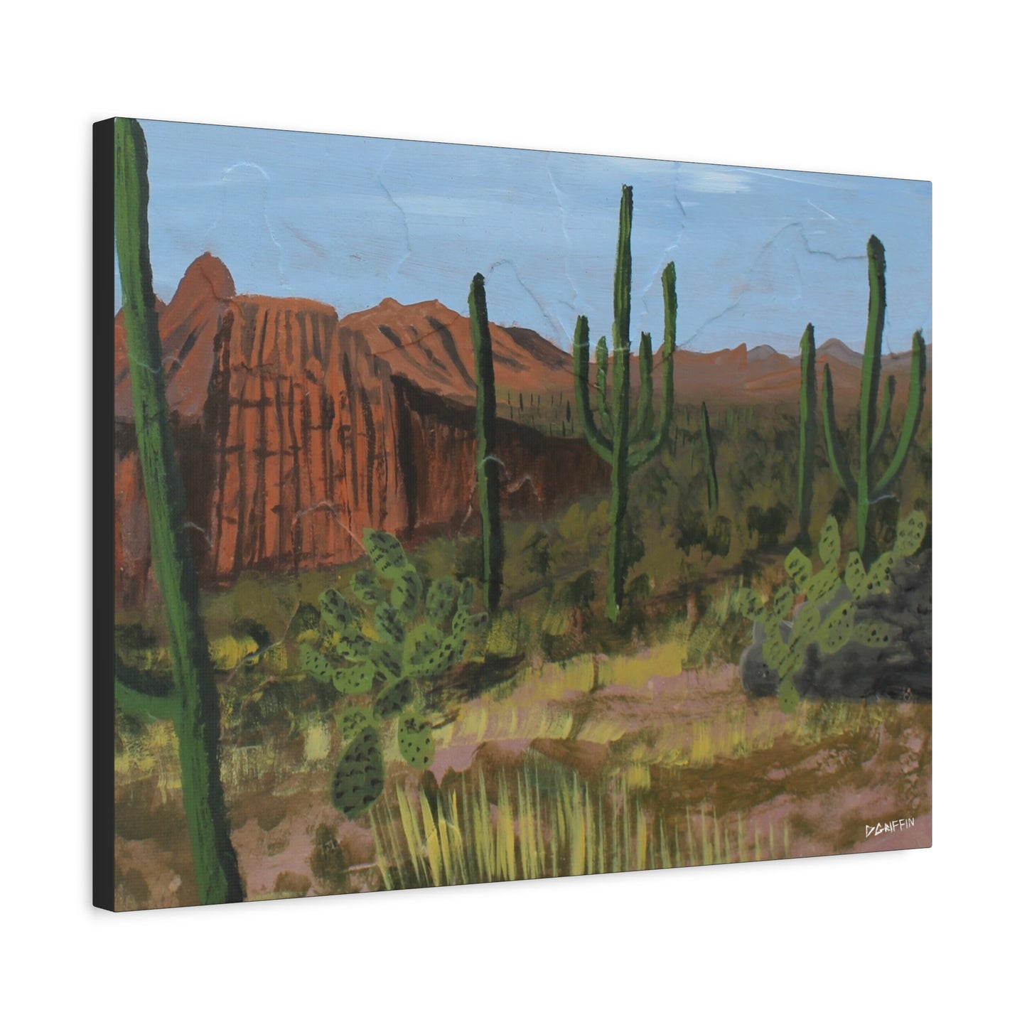 "Horizonte Espinoso" - Stretched Canvas Wall Decor