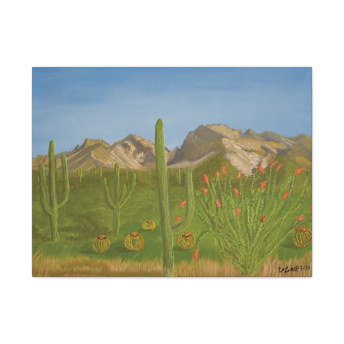 "View from Oro Valley" - Stretched Canvas Wall Decor