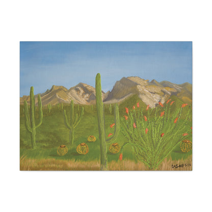 "View from Oro Valley" - Stretched Canvas Wall Decor