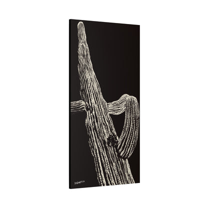 "Nocturnal Saguaro" - Stretched Canvas Wall Decor