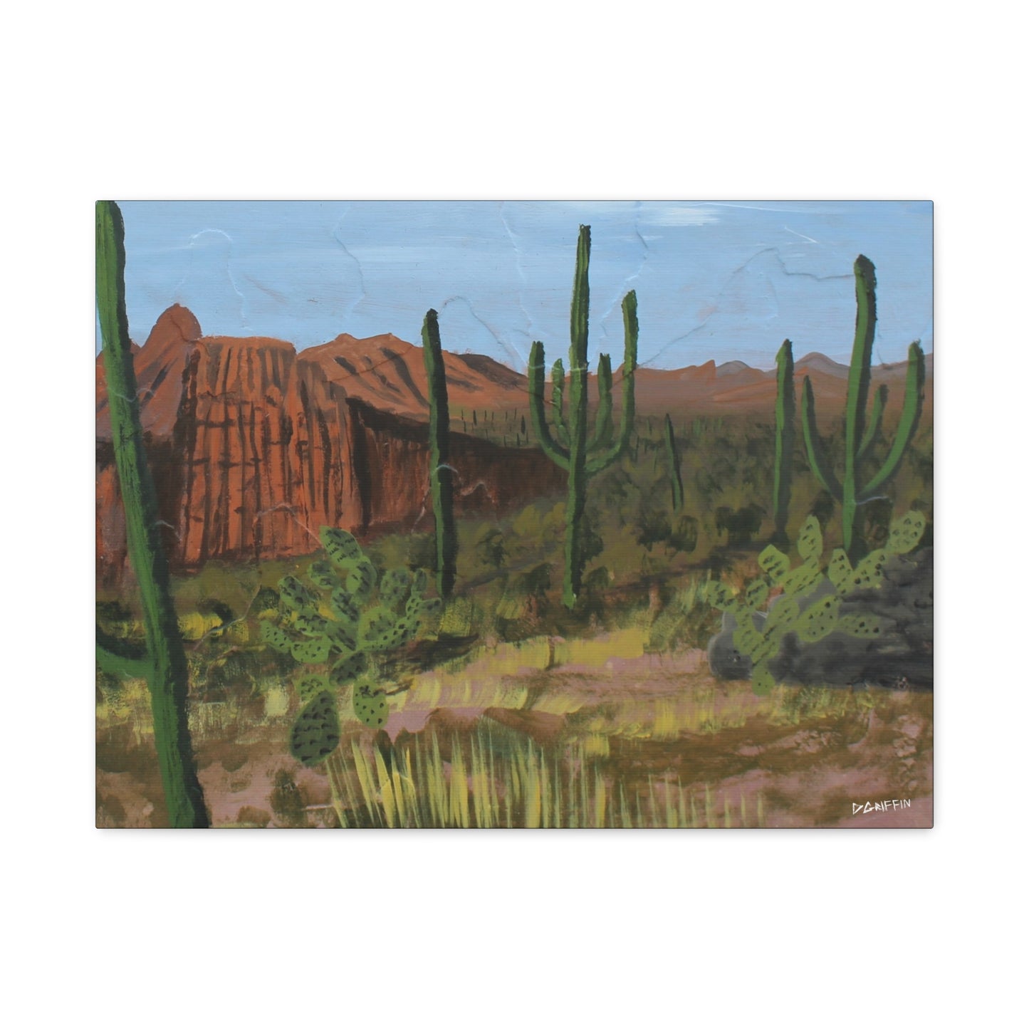 "Horizonte Espinoso" - Stretched Canvas Wall Decor