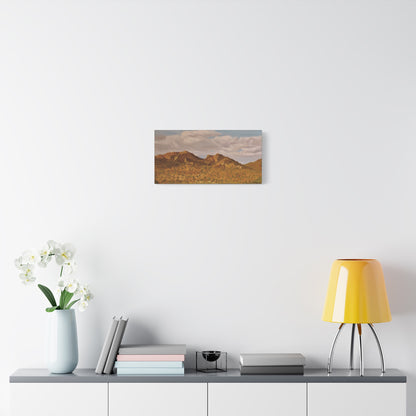 "Marana Beauty" - Stretched Canvas Wall Decor