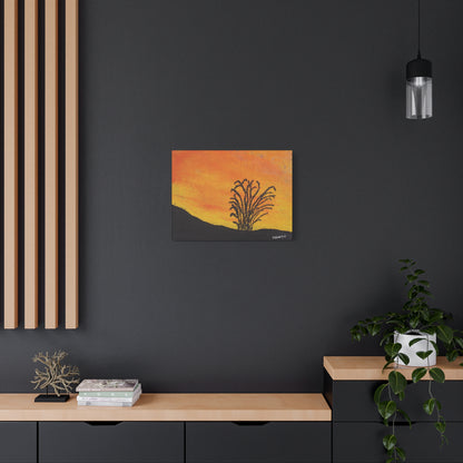 "Lone Ocotillo" - Stretched Canvas Wall Decor