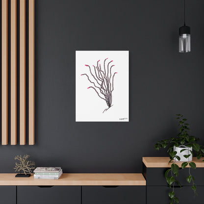 "Ocotillo en flor" - Stretched Canvas Wall Decor