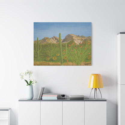 "View from Oro Valley" - Stretched Canvas Wall Decor