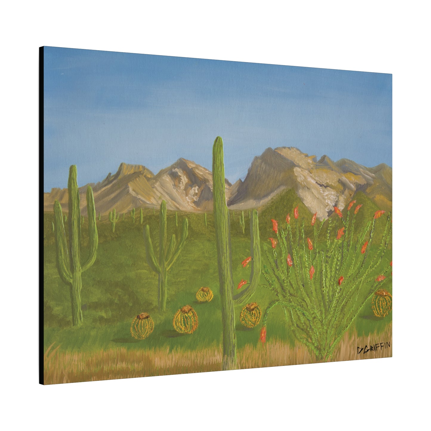 "View from Oro Valley" - Stretched Canvas Wall Decor