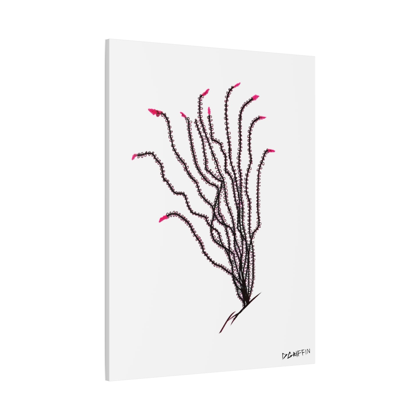 "Ocotillo en flor" - Stretched Canvas Wall Decor