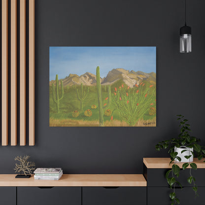 "View from Oro Valley" - Stretched Canvas Wall Decor