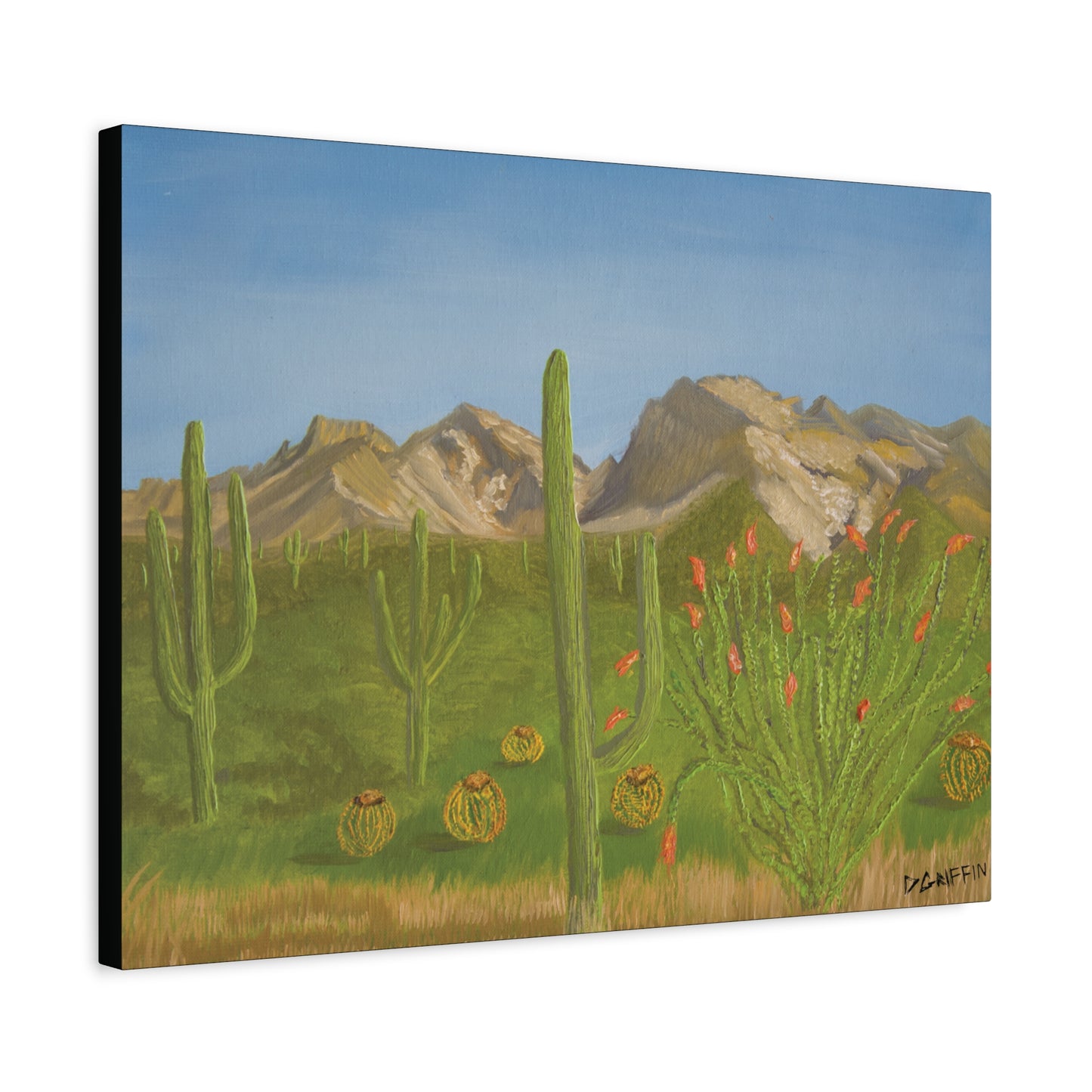 "View from Oro Valley" - Stretched Canvas Wall Decor