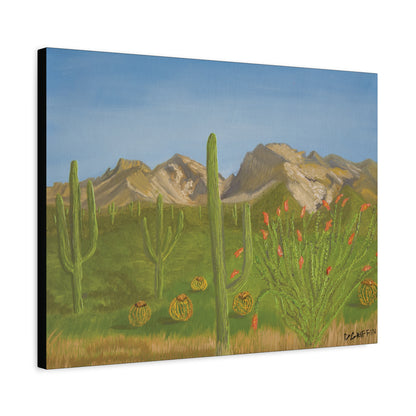"View from Oro Valley" - Stretched Canvas Wall Decor
