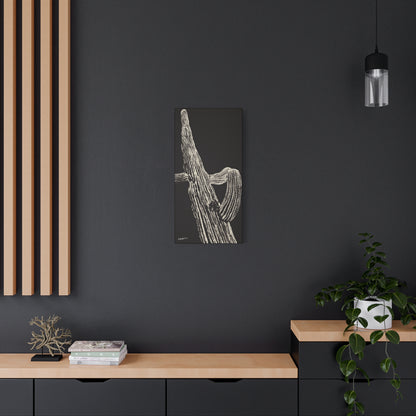 "Nocturnal Saguaro" - Stretched Canvas Wall Decor