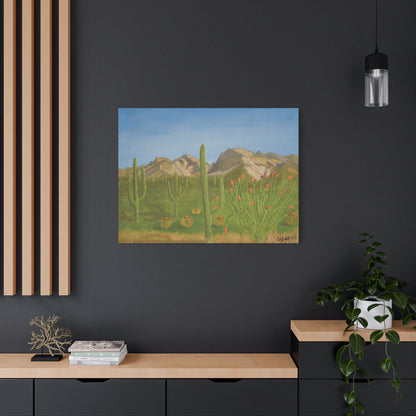 "View from Oro Valley" - Stretched Canvas Wall Decor