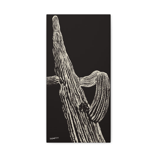 "Nocturnal Saguaro" - Stretched Canvas Wall Decor