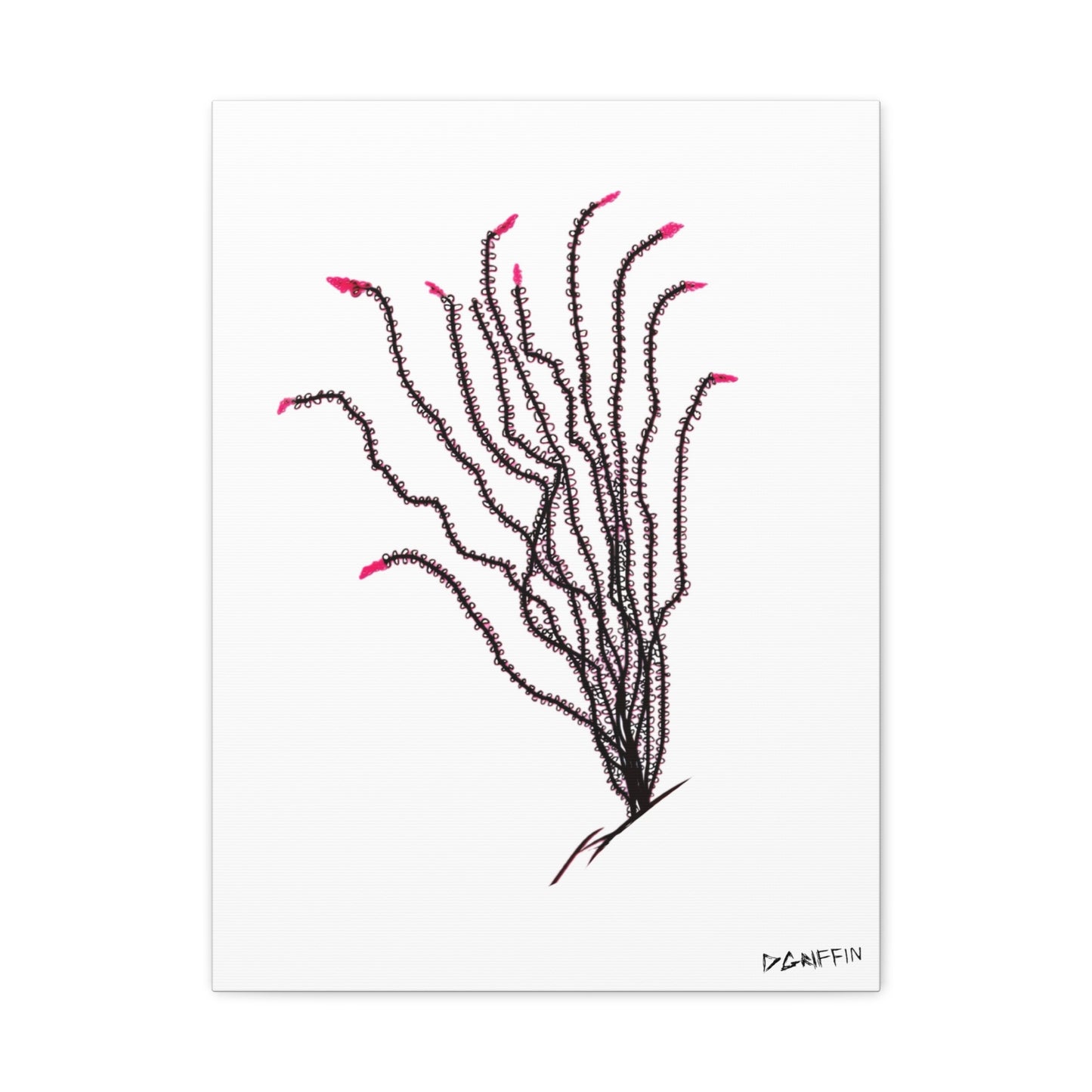"Ocotillo en flor" - Stretched Canvas Wall Decor